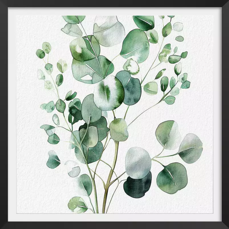 Aquarelle et eucalyptus - poster plante