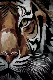 En gros plan - affiche tigre