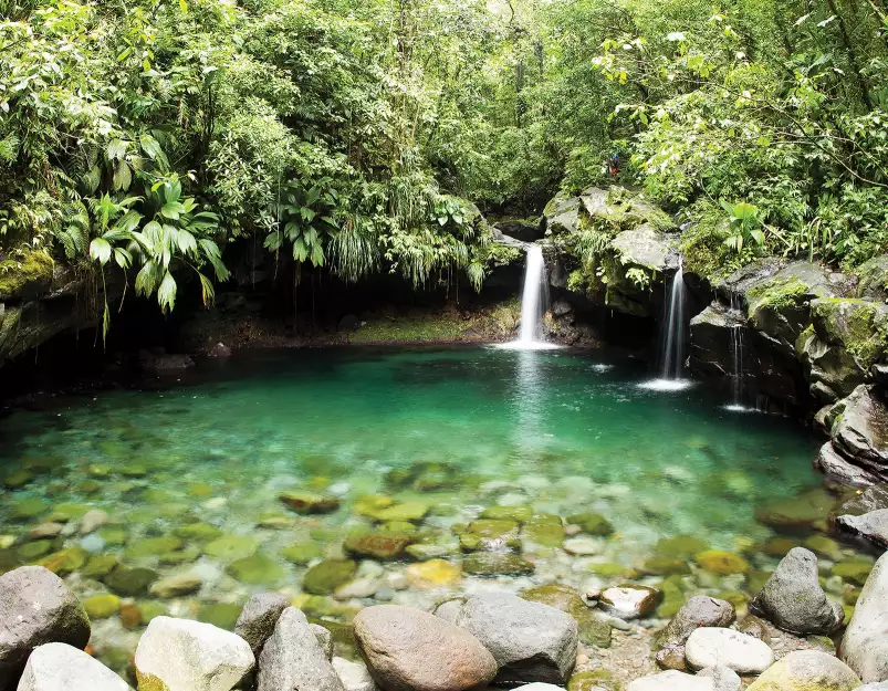 Cascade en Guadeloupe - fond de hotte original