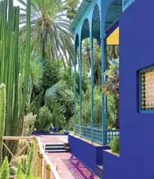 Les Jardins Majorelle - fond de hotte cuisine