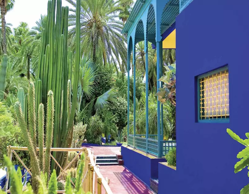 Les Jardins Majorelle - fond de hotte cuisine