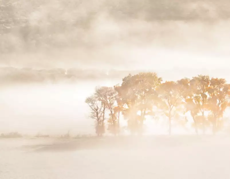 Rêves d'automne - Fond de hotte nature et paysage