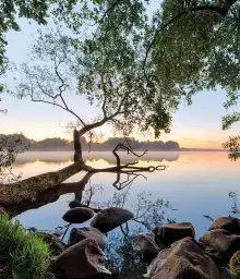 Vue sur le lac - Fond de hotte nature et paysage