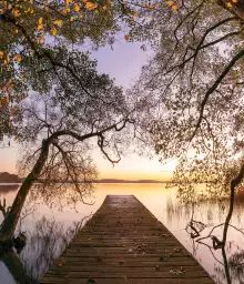 Automne - Fond de hotte nature et paysage