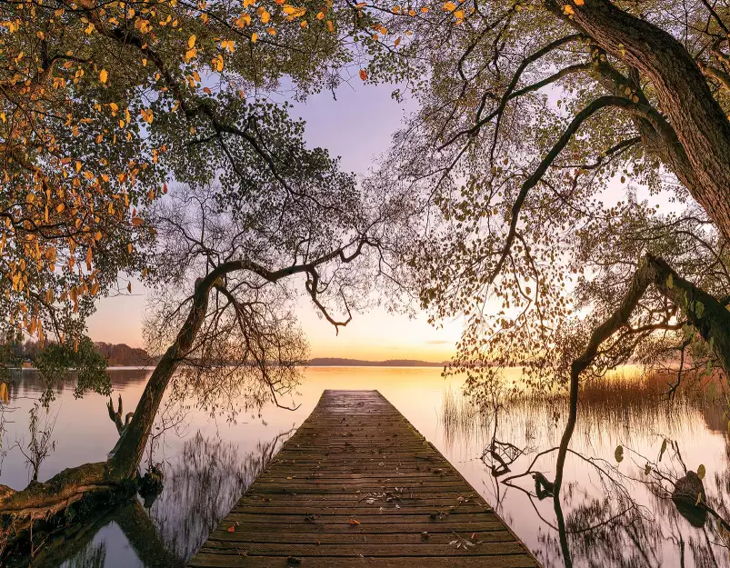 Automne - Fond de hotte nature et paysage