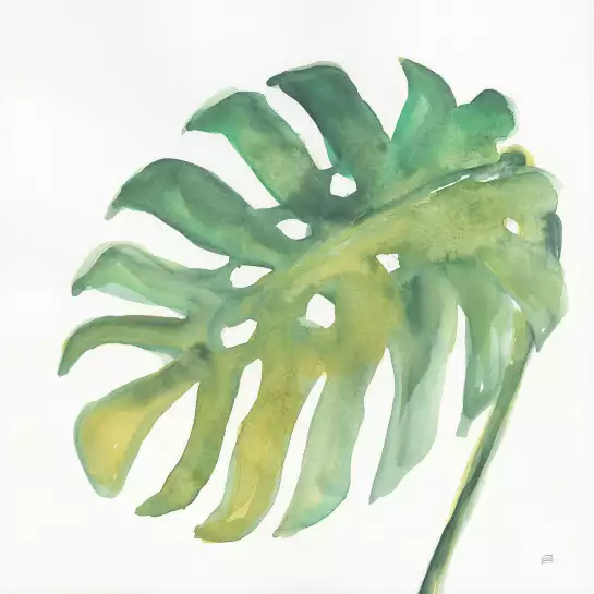 Plame watercolor - affiche plante verte