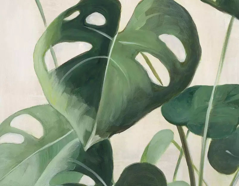 Monstera deliciosa - fond de hotte décoratif