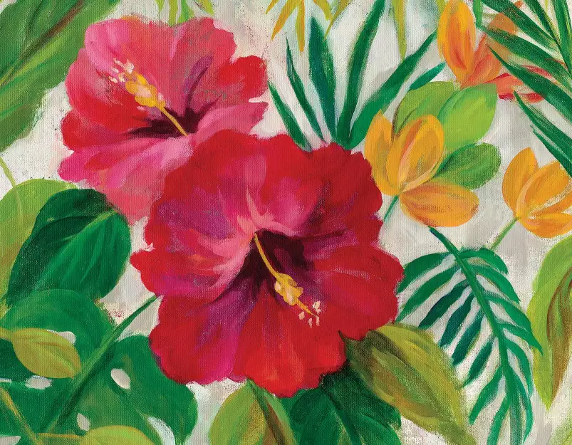 Tropical hibiscus - fond de hotte décoratif