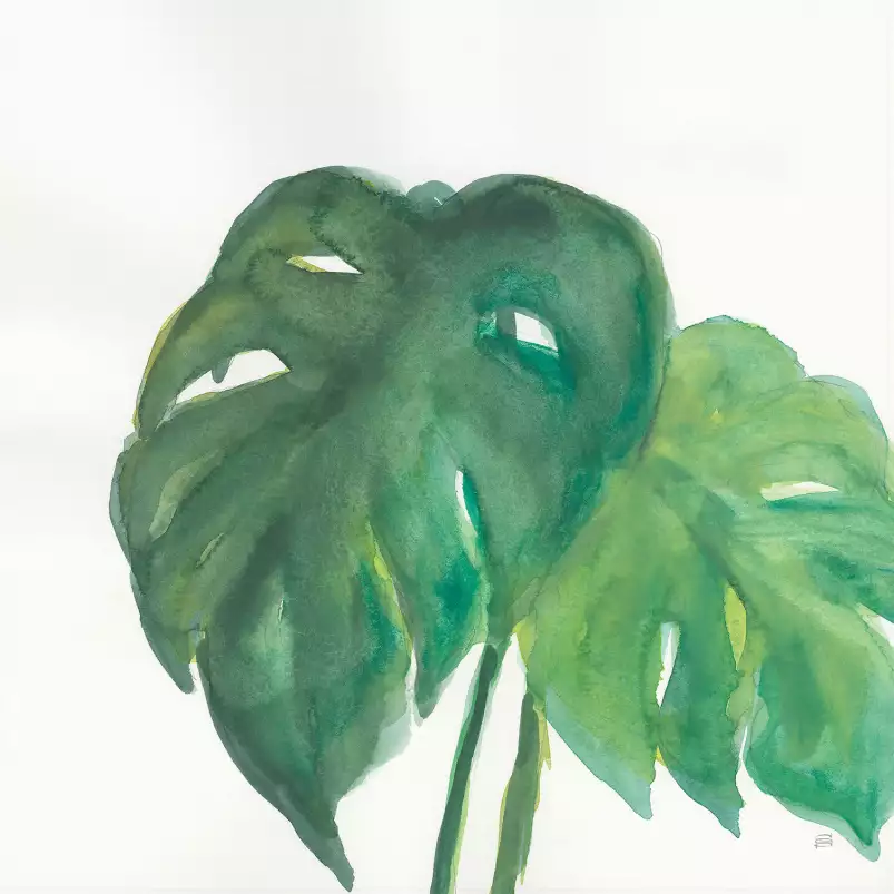 Plante monstera watercolor - affiche plante verte