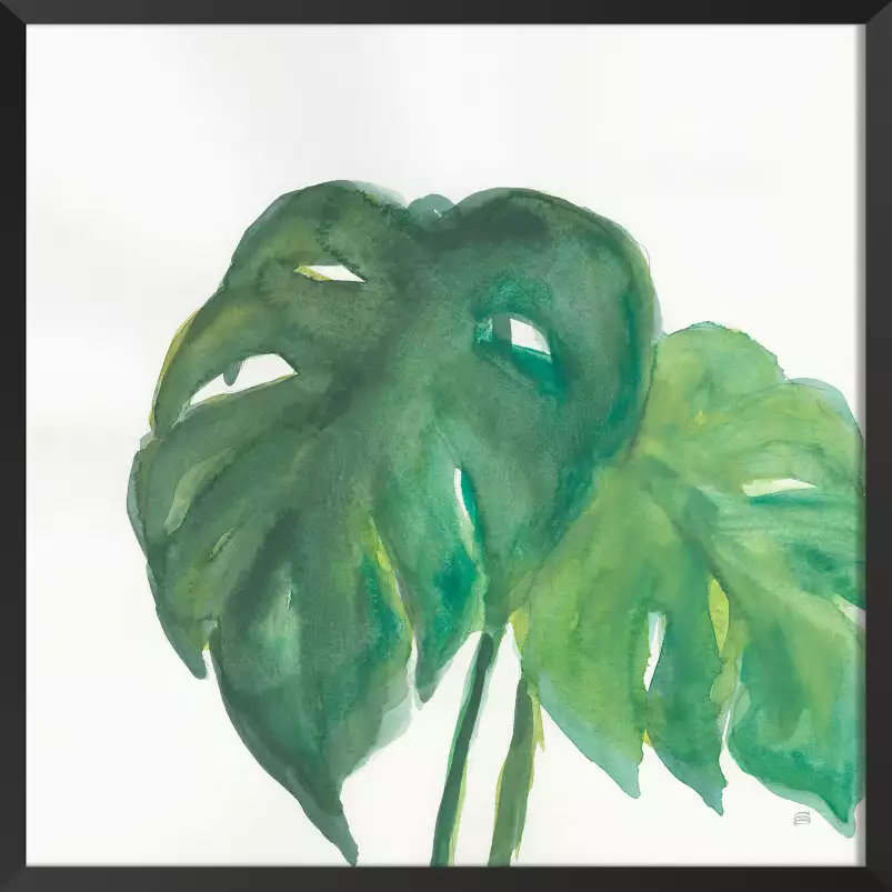 Plante monstera watercolor - affiche plante verte