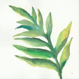 Plante aloe watercolor - affiche plante verte