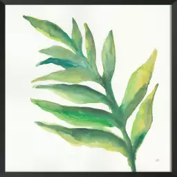 Plante aloe watercolor - affiche plante verte