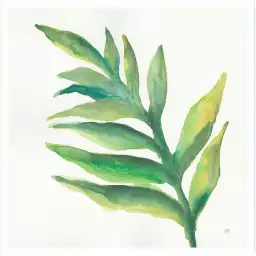Plante aloe watercolor - affiche plante verte
