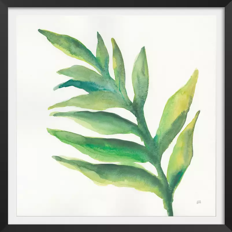 Plante aloe watercolor - affiche plante verte