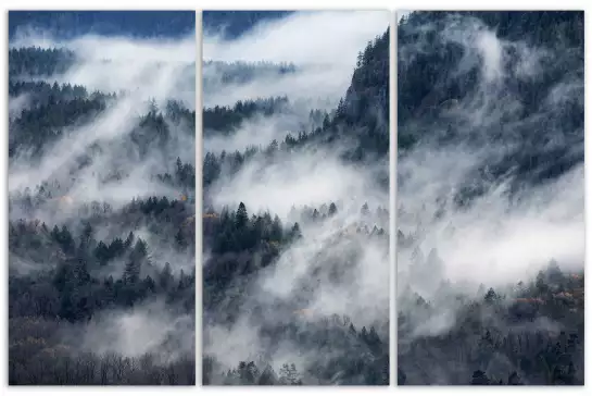 Un chemin de brume - affiche foret