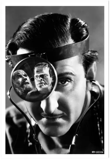 Le Fils de Frankenstein - affiche film cinema