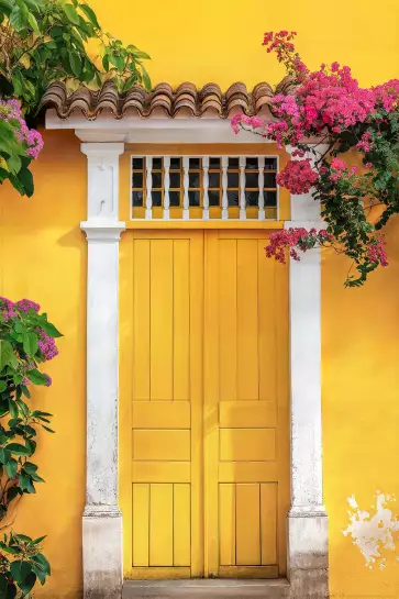 Porte jaune à Olinda au Bresil - affiche architecture