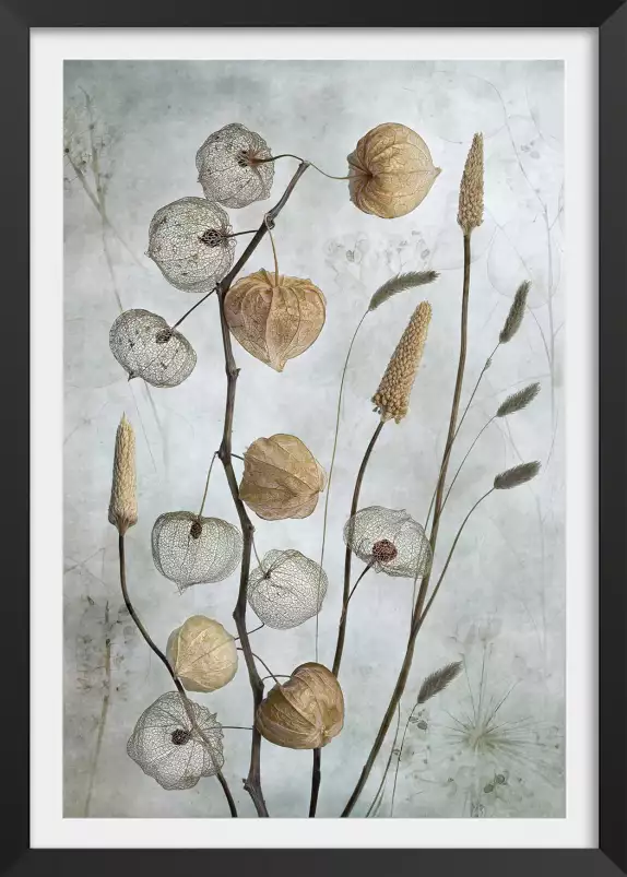 Lanternes - affiche de fleurs