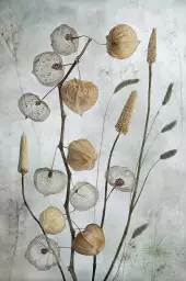 Lanternes - affiche de fleurs