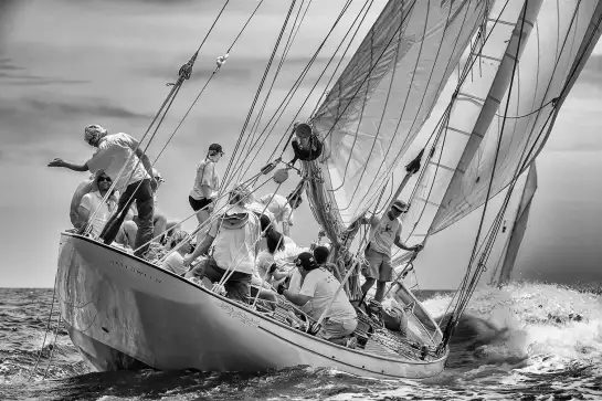 Regate - affiche bateau