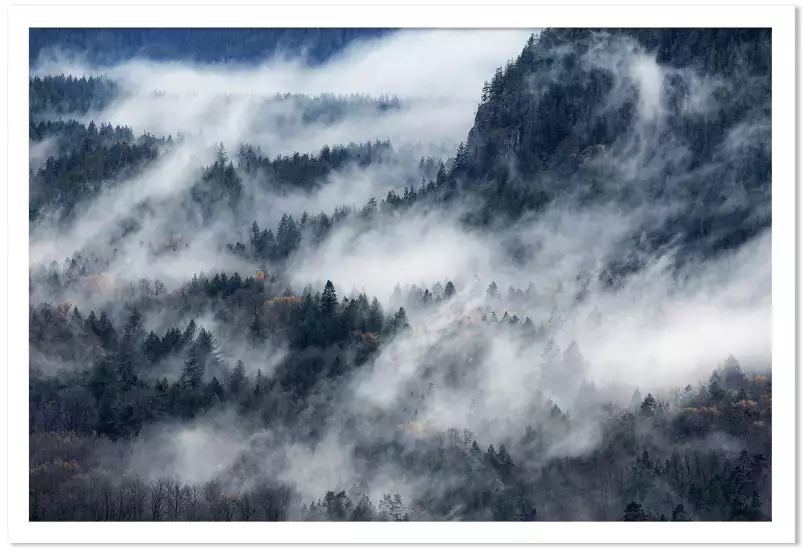 Un chemin de brume - affiche foret