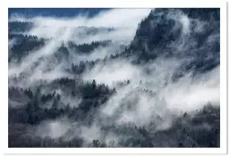 Un chemin de brume - affiche foret