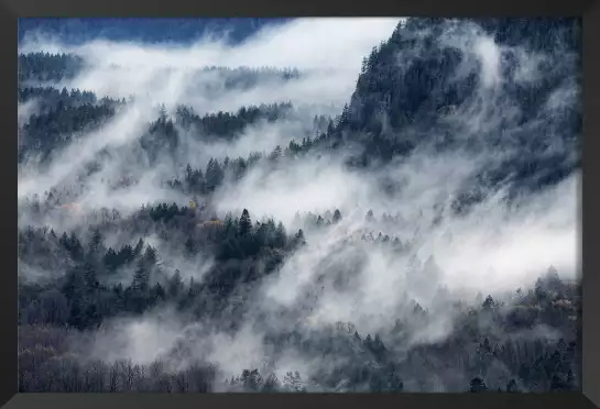 Un chemin de brume - affiche foret