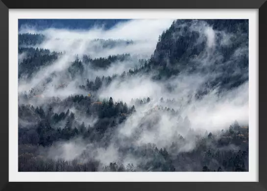 Un chemin de brume - affiche foret