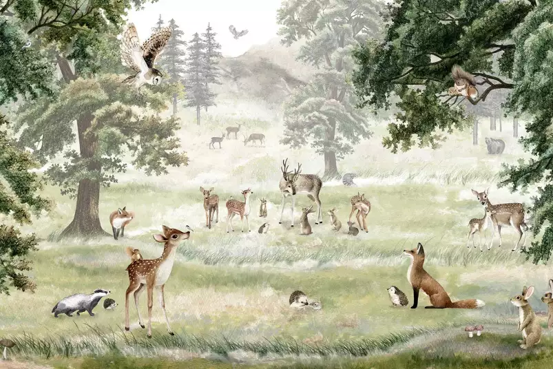 Le sous bois des animaux - affiche chambre enfant