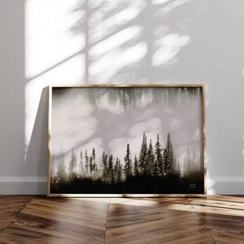 Clearwater creeks - affiche foret