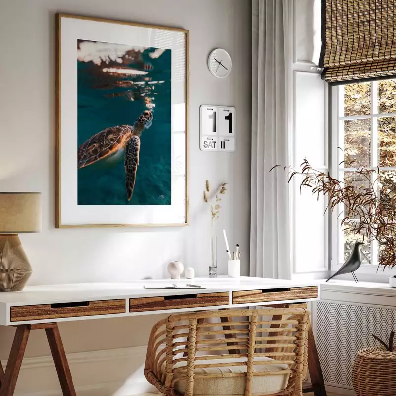 Tortue à la surface - affiche animaux