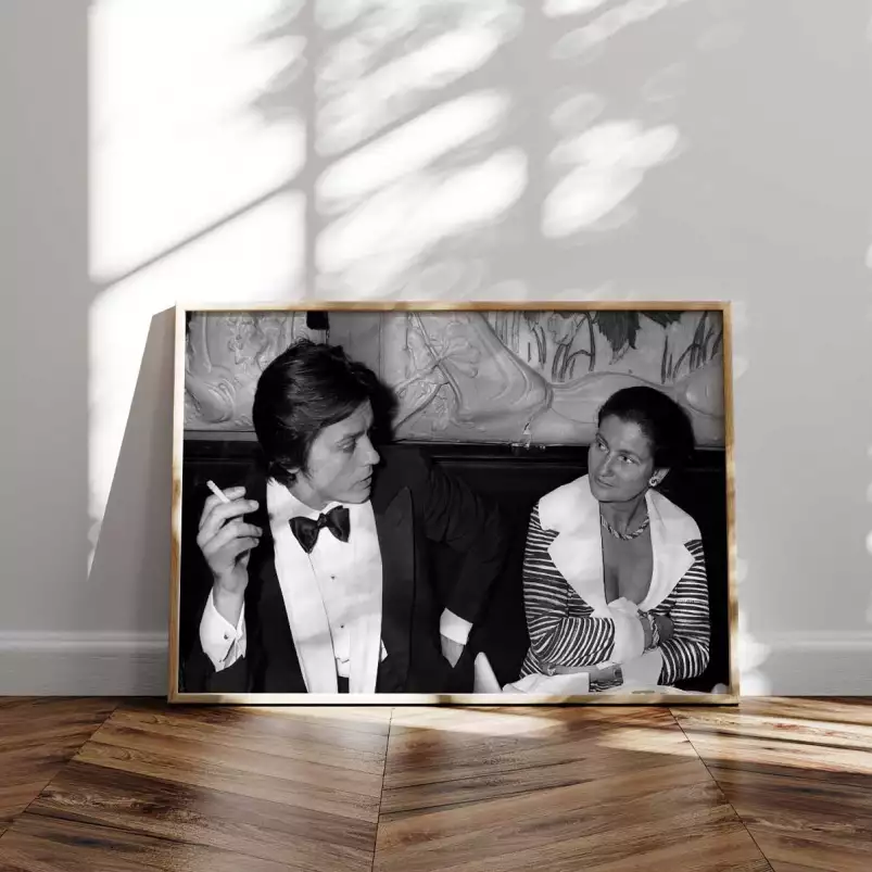 Alain Delon et Simone Veil - affiche de célébrités