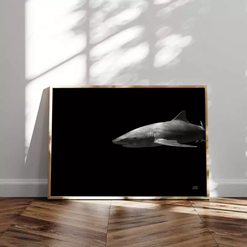 Le grand blanc - affiche requin