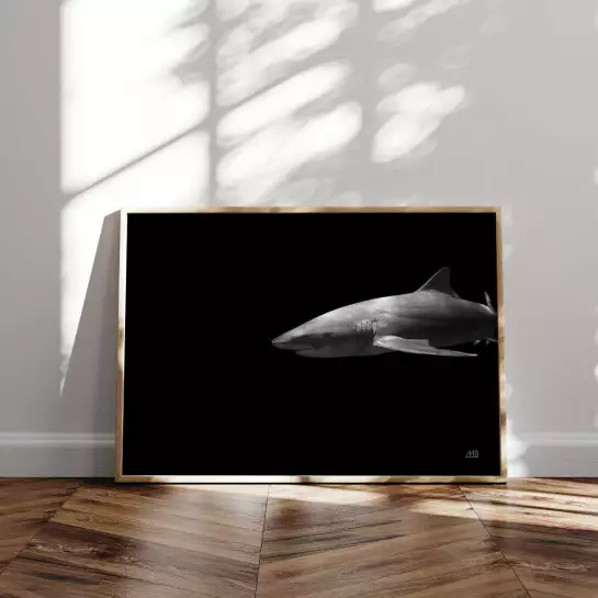 Le grand blanc - affiche requin
