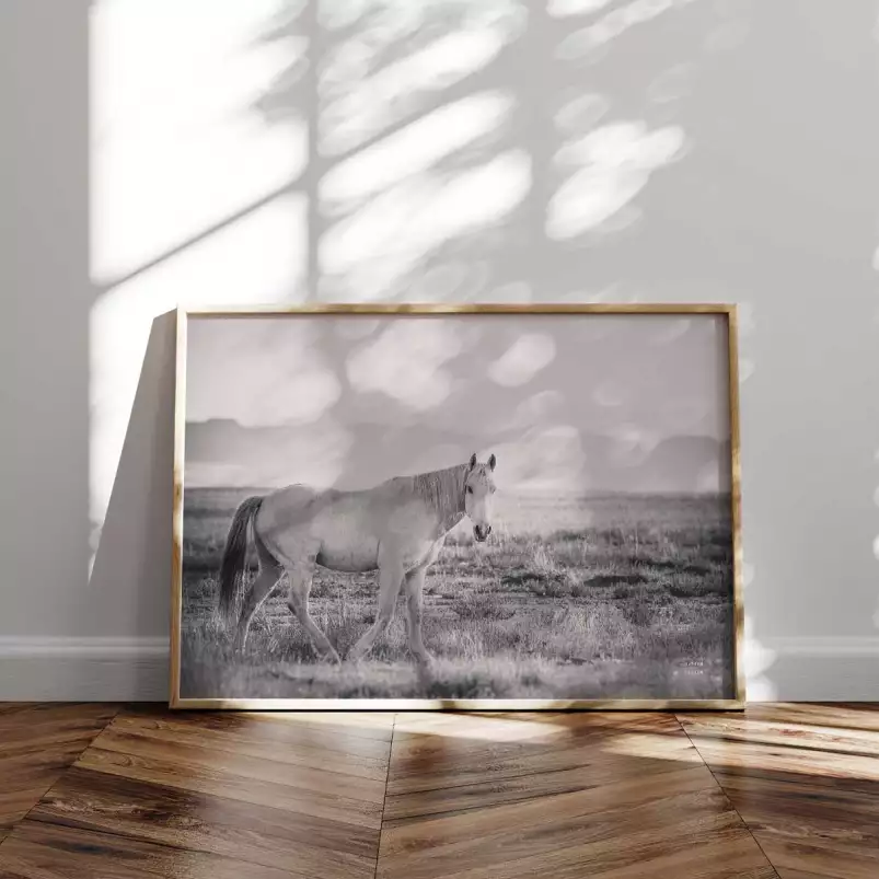 Mustang - affiche cheval