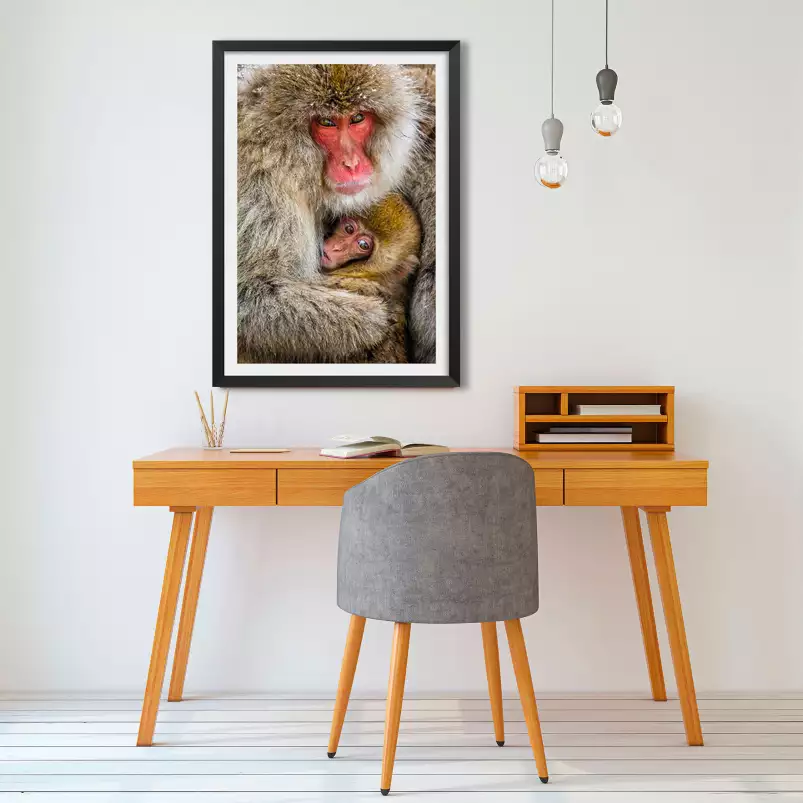 Macaques japonais - photo singe