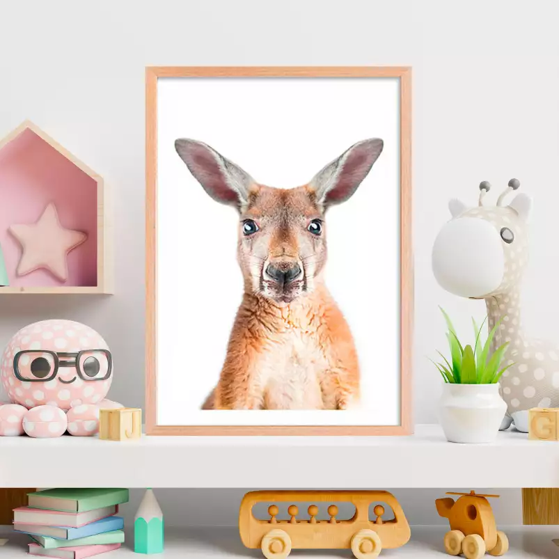 Red kangaroo - portrait animaux