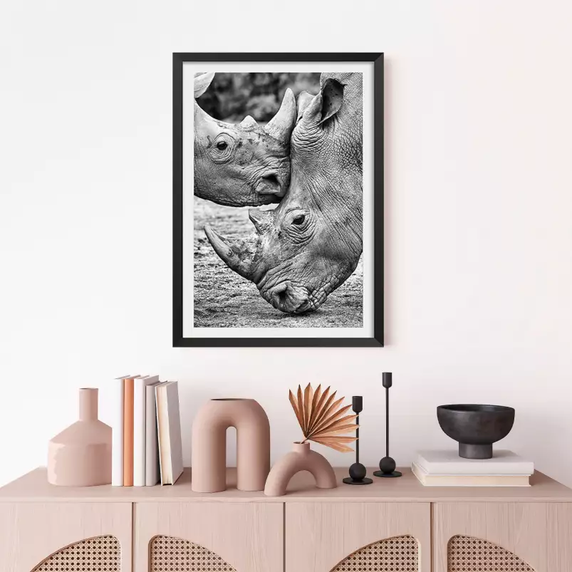 Bisou de rhino - photo noir et blanc animaux