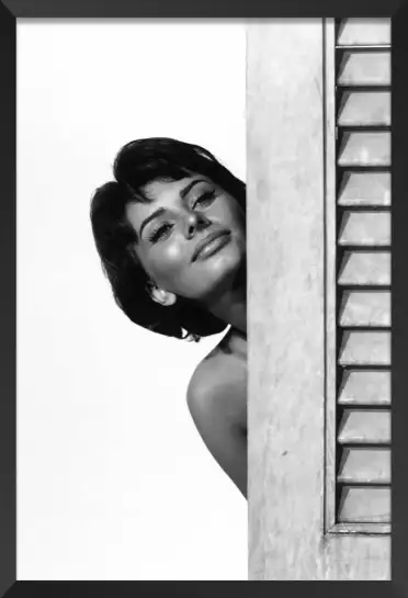 Sophia Loren - affiche acteurs et actrices celebres