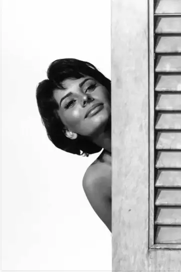 Sophia Loren - affiche acteurs et actrices celebres