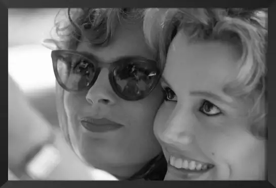 Susan Sarandon & Geena Davis - affiche acteurs et actrices celebres