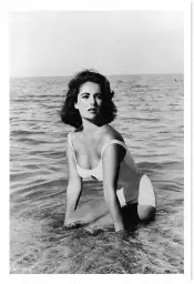 Elizabeth Taylor | Portrait d'actrice américaine