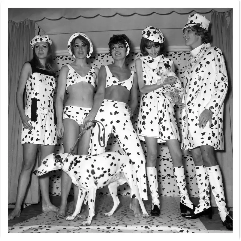 Dalmatiens fashion - affiche vintage noir et blanc