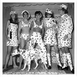 Dalmatiens fashion - affiche vintage noir et blanc