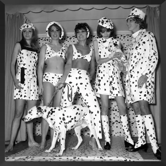 Dalmatiens fashion - affiche vintage noir et blanc