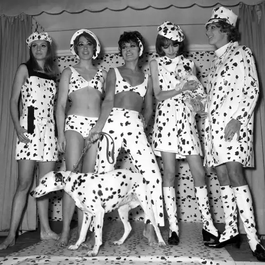 Dalmatiens fashion - affiche vintage noir et blanc