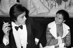 Alain Delon et Simone Veil - affiche de célébrités
