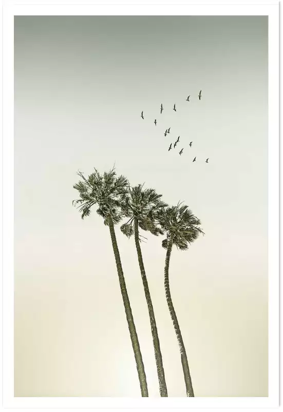 Sous les palmiers - affiche palmier vintage