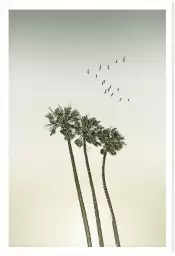 Sous les palmiers - affiche palmier vintage