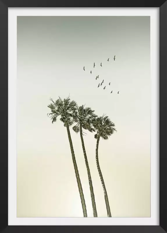 Sous les palmiers - affiche palmier vintage